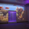 Проекционный дизайн "Виртуальная реальность" базовый комплект 500 анимаций - «globural.ru» - Краснодар