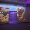 Проекционный дизайн "Виртуальная реальность" безлимитный комплект 1200 анимаций - «globural.ru» - Краснодар