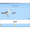 Английский язык. Освоение клавиатуры - «globural.ru» - Краснодар