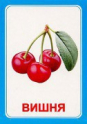 Логопедические карточки и картинки для развития речи - «globural.ru» - Краснодар
