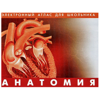 Анатомия. (Цифровой атлас школьника) - «globural.ru» - Краснодар