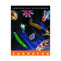 Зоология. Микрофотографии. (Цифровая база изображений) - «globural.ru» - Краснодар