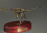 Модель скелета динозавра Velociraptor - «globural.ru» - Краснодар