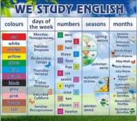 Стенд "We study english" - «globural.ru» - Краснодар