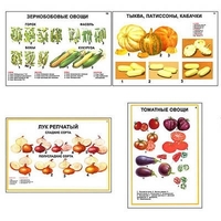 Плакаты ПРОФТЕХ "Ассортимент овощных культур" (12 пл, винил, 70х100) - «globural.ru» - Краснодар
