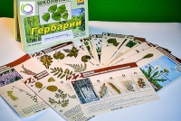 Гербарий к курсу основ общей биологии - «globural.ru» - Краснодар