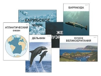 Модель-аппликация "Океаны. Знакомство" (ламинированная) - «globural.ru» - Краснодар