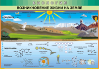Таблица Возникновение жизни на Земле 1000*1400 винил - «globural.ru» - Краснодар