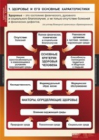ОБЖ Здоровый образ жизни (комплект таблиц) - «globural.ru» - Краснодар