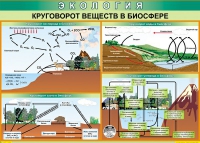 Таблица Круговорот веществ в биосфере 1000*700 винил - «globural.ru» - Краснодар