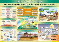Таблица Антропогенное воздействие на биосферу 1000*700 винил - «globural.ru» - Краснодар