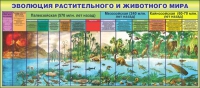Стенд "Эволюция растительного и животного мира" - «globural.ru» - Краснодар