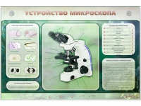 Электрифицированный стенд "Устройство микроскопа и правила работы c ним" - «globural.ru» - Краснодар