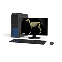 Макет масштабный «Скелет Лошади» Масштаб 1:2 - «globural.ru» - Краснодар