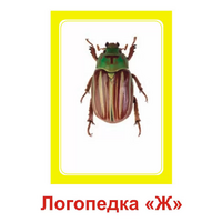 Логопедка "Ж" (логопедические карточки) - «globural.ru» - Краснодар