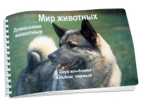 Пособие для слабовидящих "Домашние животные" - «globural.ru» - Краснодар