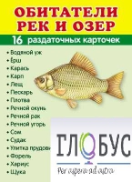 Раздаточные карточки "Обитатели рек и озер" - «globural.ru» - Краснодар