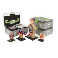 Учебный набор "Анатомия в деталях" - «globural.ru» - Краснодар