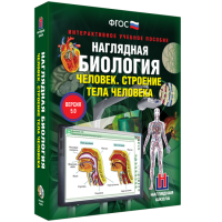 Наглядная биология. Человек. Строение тела человека - «globural.ru» - Краснодар