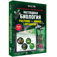 Наглядная биология. Растение - живой организм - «globural.ru» - Краснодар