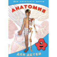 DVD  Анатомия для детей - «globural.ru» - Краснодар