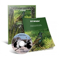Электронное наглядное пособие «Птицы» - «globural.ru» - Краснодар