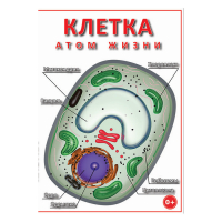 DVD Клетка - "атом жизни" - «globural.ru» - Краснодар