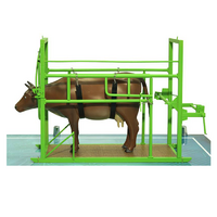 Наглядный макет «Методы и устройства для фиксации КРС» - «globural.ru» - Краснодар