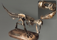 Модель скелета динозавра Tyrannosaurus - «globural.ru» - Краснодар