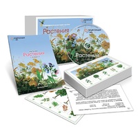 Комбинированное наглядное пособие «Растения» - «globural.ru» - Краснодар