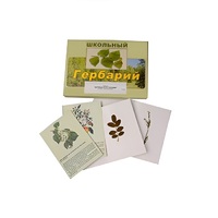 Гербарий "Деревья и кустарники" (22 вида, с иллюстрациями) - «globural.ru» - Краснодар