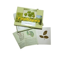 Гербарий "Дикорастущие растения" (30 видов, с иллюстрациями) - «globural.ru» - Краснодар