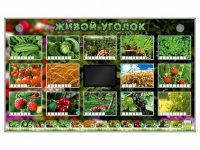 Комплект оборудования "Живой уголок" (растения) - «globural.ru» - Краснодар