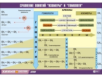 Таблица демонстрационная "Сравнение понятий изомер и гомолог" (винил 100х140) - «globural.ru» - Краснодар