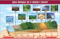 Таблица демонстрационная "Смена природных зон от полюсов к экватору" (винил 70x100) - «globural.ru» - Краснодар