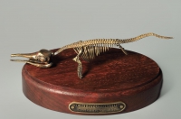 Модель скелета ихтиозавра Ichthyosaurus - «globural.ru» - Краснодар