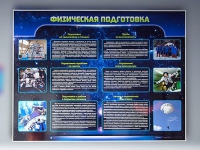 Стенд "Физическая подготовка" (вариант 2) - «globural.ru» - Краснодар