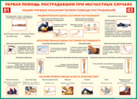  Таблица Общий порядок оказания первой помощи пострадавшим 1000*1400 винил	 - «globural.ru» - Краснодар
