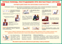 Таблица Порядок действий при переломах конечностей 1000*1400 винил - «globural.ru» - Краснодар