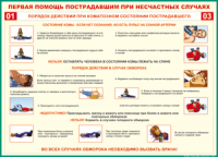 Таблица Порядок действий при коматозном состоянии пострадавшего 1000*1400 винил - «globural.ru» - Краснодар