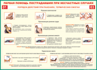 Таблица Порядок действий при ранениях и термических ожогах	 1000*1400 винил - «globural.ru» - Краснодар