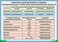 Химия. Сравнение понятий изомер и гомолог. Функциональные группы классов органических веществ (винил) - «globural.ru» - Краснодар