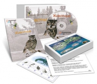 Комбинированное наглядное пособие «Животные» - «globural.ru» - Краснодар