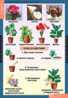 Окружающий мир 1 класс (комплект таблиц) - «globural.ru» - Краснодар