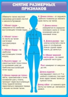 Стенд "Снятие мерок" (вариант 2) - «globural.ru» - Краснодар