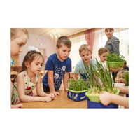 Обучающий комплект экологической направленности "Сити-фермер 2.0 Детский сад" 20 человек - «globural.ru» - Краснодар