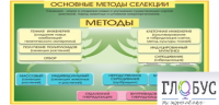 Стенд "Методы селекции и биотехнологии" - «globural.ru» - Краснодар
