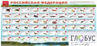 Стенд "Красная книга РФ" - «globural.ru» - Краснодар