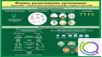 Стенд "Формы размножения организмов" - «globural.ru» - Краснодар