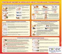 Стенд "Первая доврачебная неотложная помощь" - «globural.ru» - Краснодар